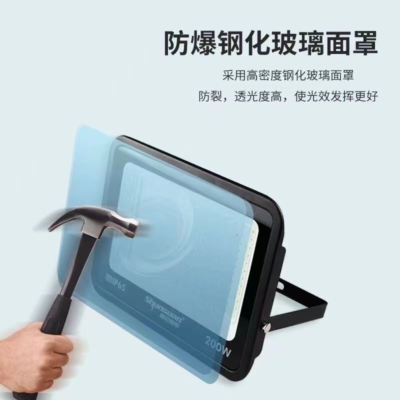 顺冠金钻led投光灯户外防水照明工厂庭院灯路灯新农村家用投光灯图片