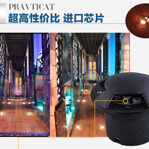 LED地埋灯透光龟背灯户外防水步道灯草坪嵌入式侧面发光地灯室外