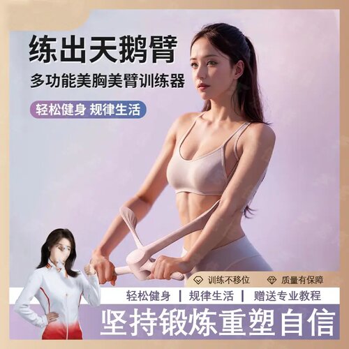手臂力棒胸训练器麒麟天鹅臂肩背小臂多功能瑜伽居家锻炼器宏克佳