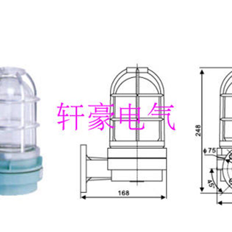 船用灯具 干货仓壁灯 WB-2B船用壁灯 60W壁灯 220V露天甲板壁灯