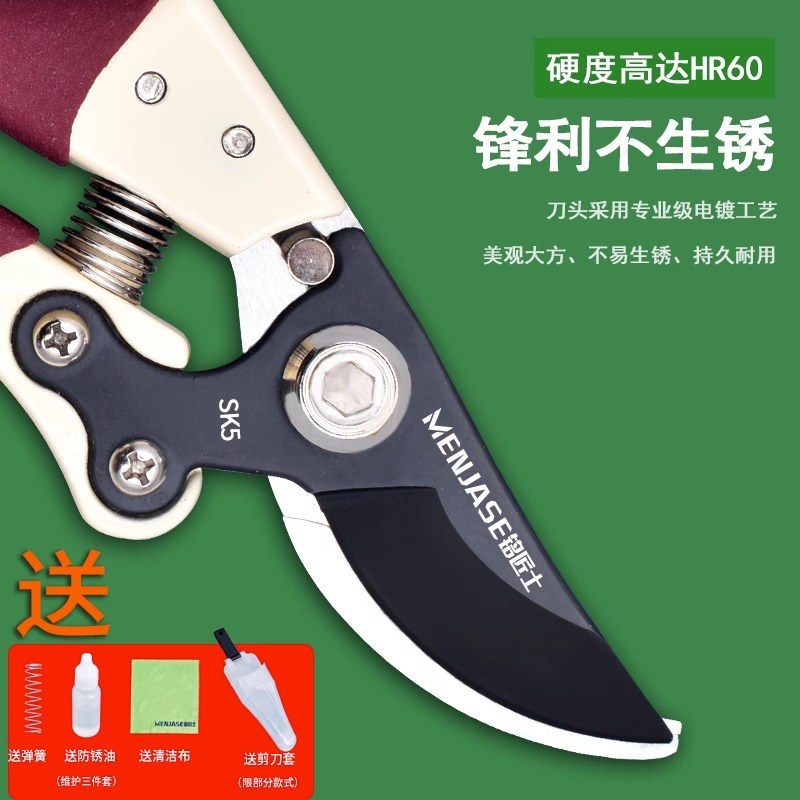德国精工果树剪枝剪刀粗枝花草修枝剪家用绿化园艺强力省力花剪