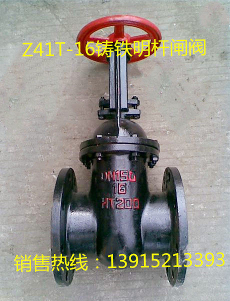 Z41T-10/16铸铁大体铜芯法兰明杆闸阀DN65 80 150 250 350 450