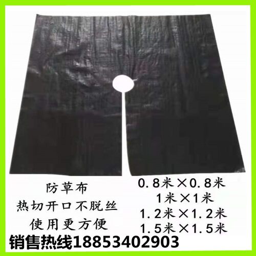pp单张切片打孔防草布保湿透气防草除草布果园加厚黑色茶园地布