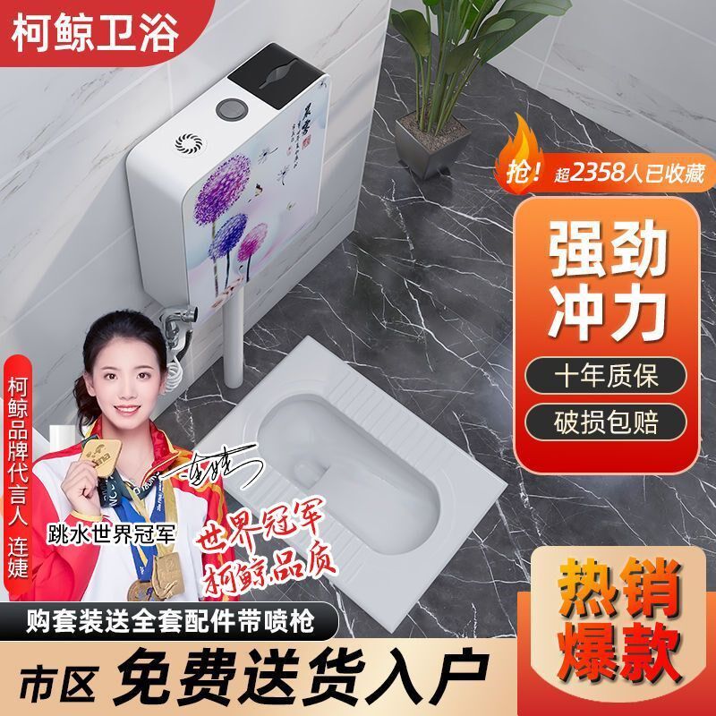 日本进口陶瓷蹲便器冲水箱套装整套大便器防臭蹲厕蹲坑便池蹬便器