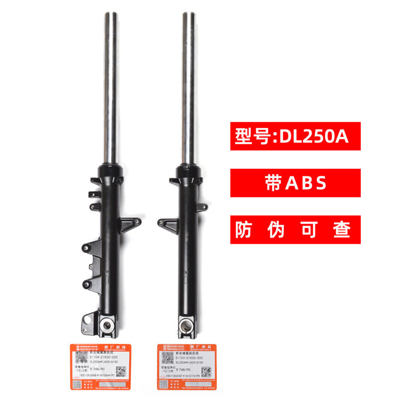 适用骊驰DL250 GSX250R GW250/S/F摩托车前减震器 避震器前叉原厂