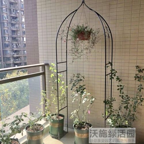 欧式铁艺小型花架拱门 攀爬月季适用铁制园艺支架 地面用白黑色