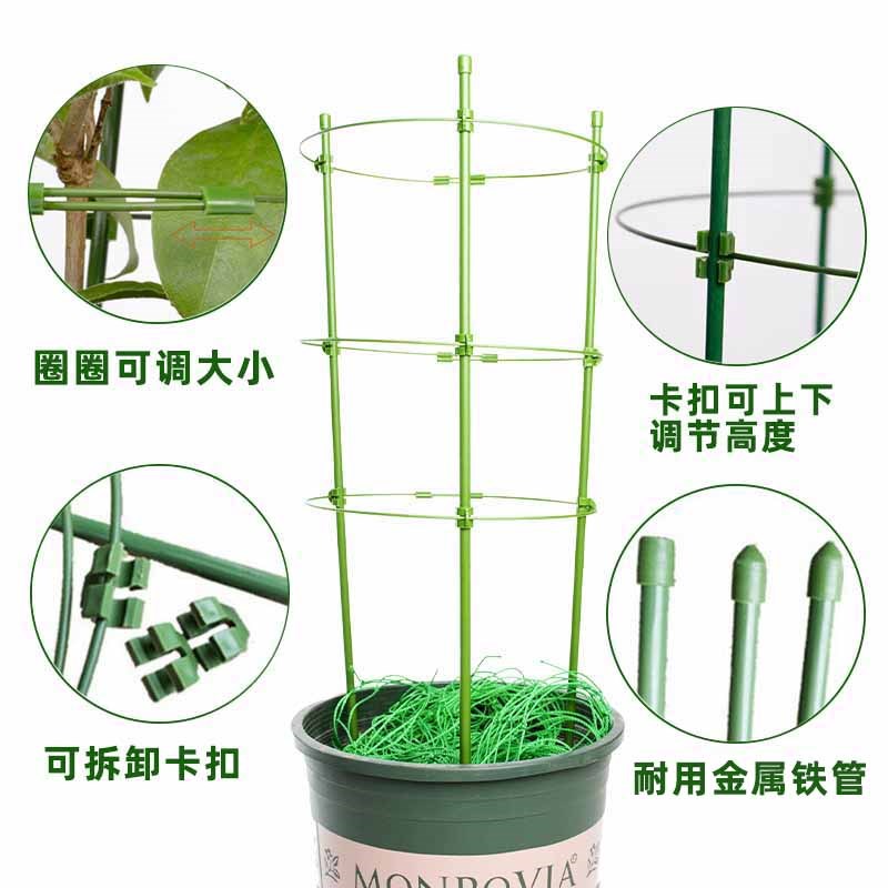 花架爬藤支架花盆园艺支柱月季铁线莲球兰绿萝植物防倒攀爬支撑杆图片