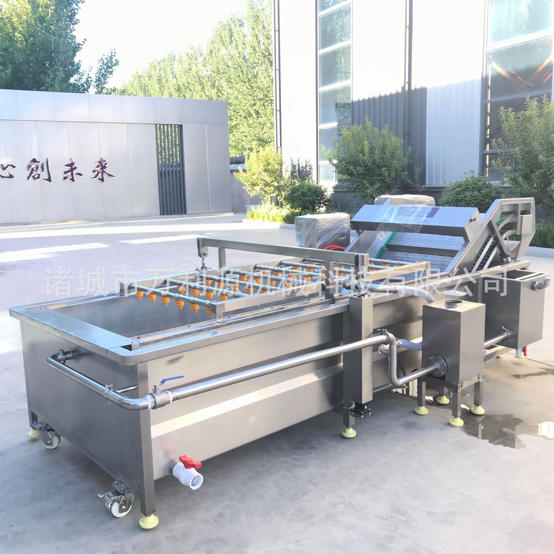 304不锈钢果蔬净菜加工设备辣椒白菜红枣全自动鼓泡清洗流水线