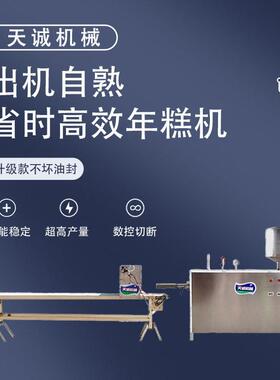 天诚牌商用自熟年糕机 浙江诸暨小吃年糕排机器