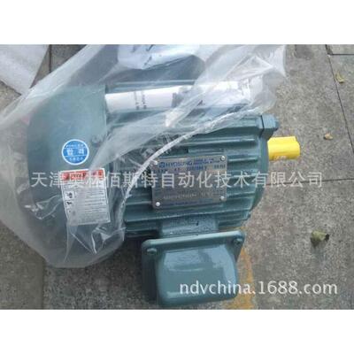 HYSUNG 晓星 电机 TEFC 110KW