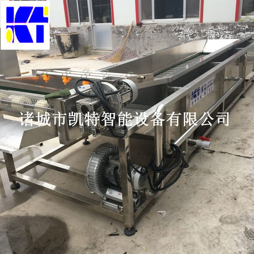 高压鼓泡果蔬清洗机豆荚清洗机中央厨房加工设备支持定/制