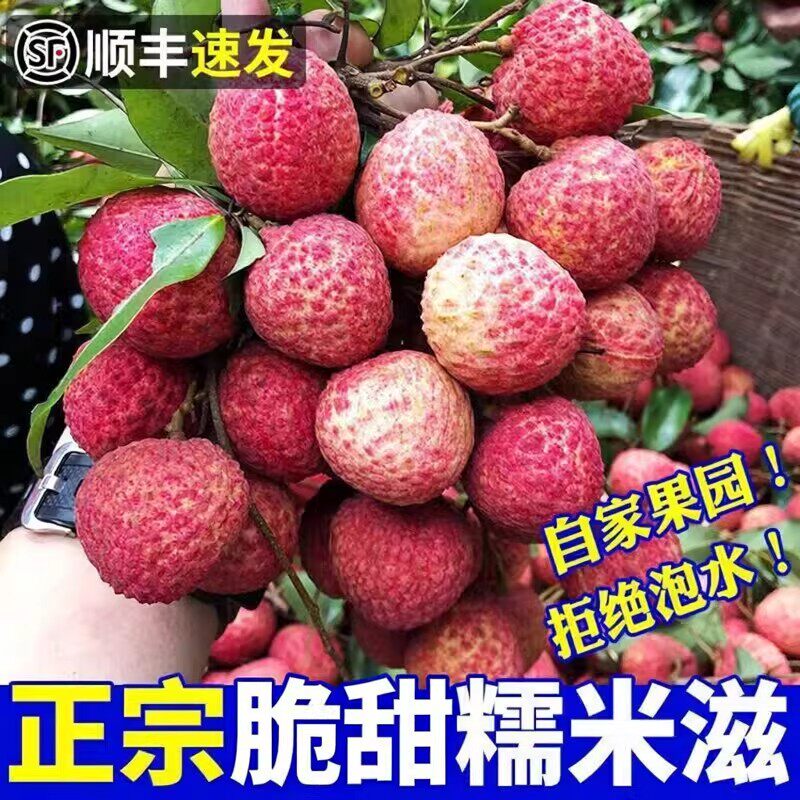 新鲜桂花香荔枝水果顺丰包邮白糖味罂顺丰新鲜速冻发货冰冻锁鲜