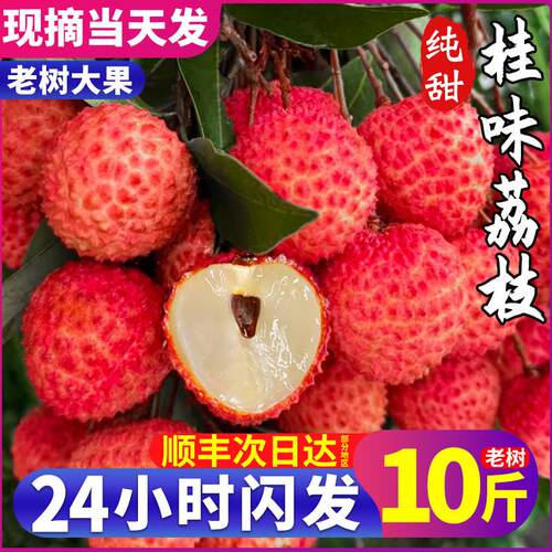 顺丰发货桂味荔枝老树果速发糯冰冻荔枝小核无进奉王妃整箱包邮5