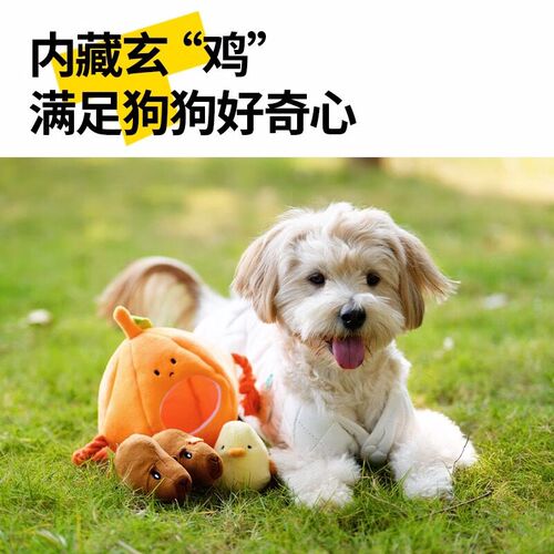 QZee藏食丰荣狗玩具响纸发声掏掏乐益智宠物自嗨耐咬球小中大型犬