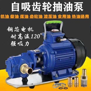 WCB-75齿轮电动抽油泵大流量自吸液压油机油食用油热油耐高温220V
