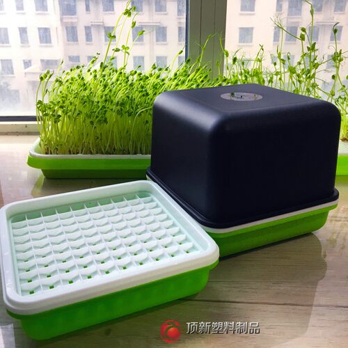 发芽盒育苗神器 蔬菜营养钵豆芽盒花生芽水培盒无水栽培苗菜托盘