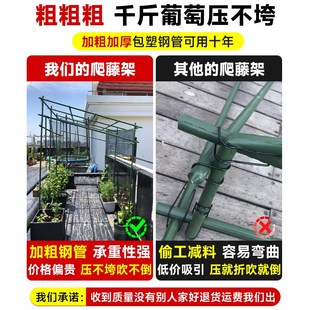 葡萄架爬藤架黄瓜爬藤架子庭院户外瓜棚苦瓜丝瓜百香果牵引专用架