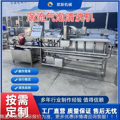 多洗功能涡流气泡清洗机商类用果蔬清洗设备自动叶瓜果涡流清RYE