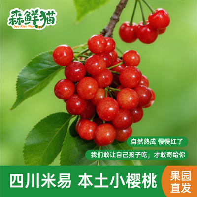 米易本土小樱桃小时候的味道