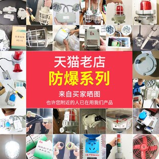 防爆吊扇风扇220V防爆吊风扇BFC-1200/1400防爆电风扇bfc防爆风机
