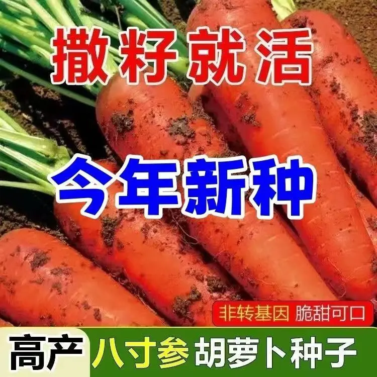 【下单立减50】三红胡萝卜种子胡萝卜四季秋冬蔬菜农家胡萝卜_JK