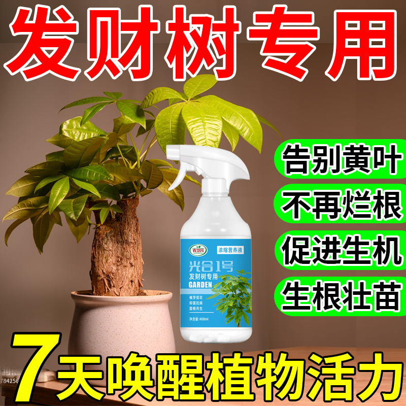 发财树专用,一喷不生病