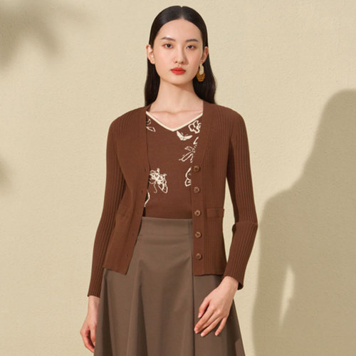 两件套时尚优雅百搭针织衫女上衣