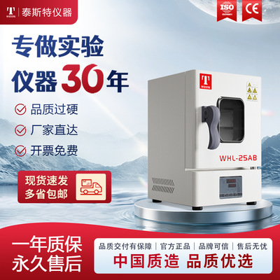 泰斯特直营小型台式电热恒温干燥箱WHL-25A培养箱WPL25A智能控温