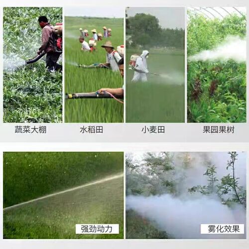 背负式农用喷雾机汽油30L果园杀虫喷粉机多用途饲料化肥播种