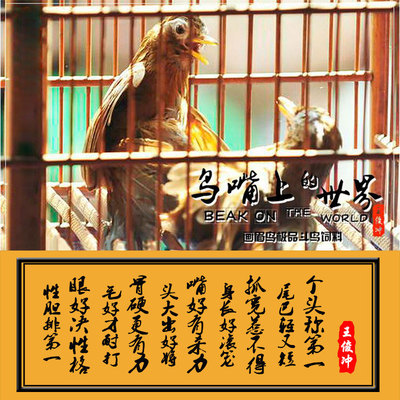 王俊冲手工画眉鸟食提性饲料壮膘斗鸟料比赛营养鸟粮秘制打彩专用