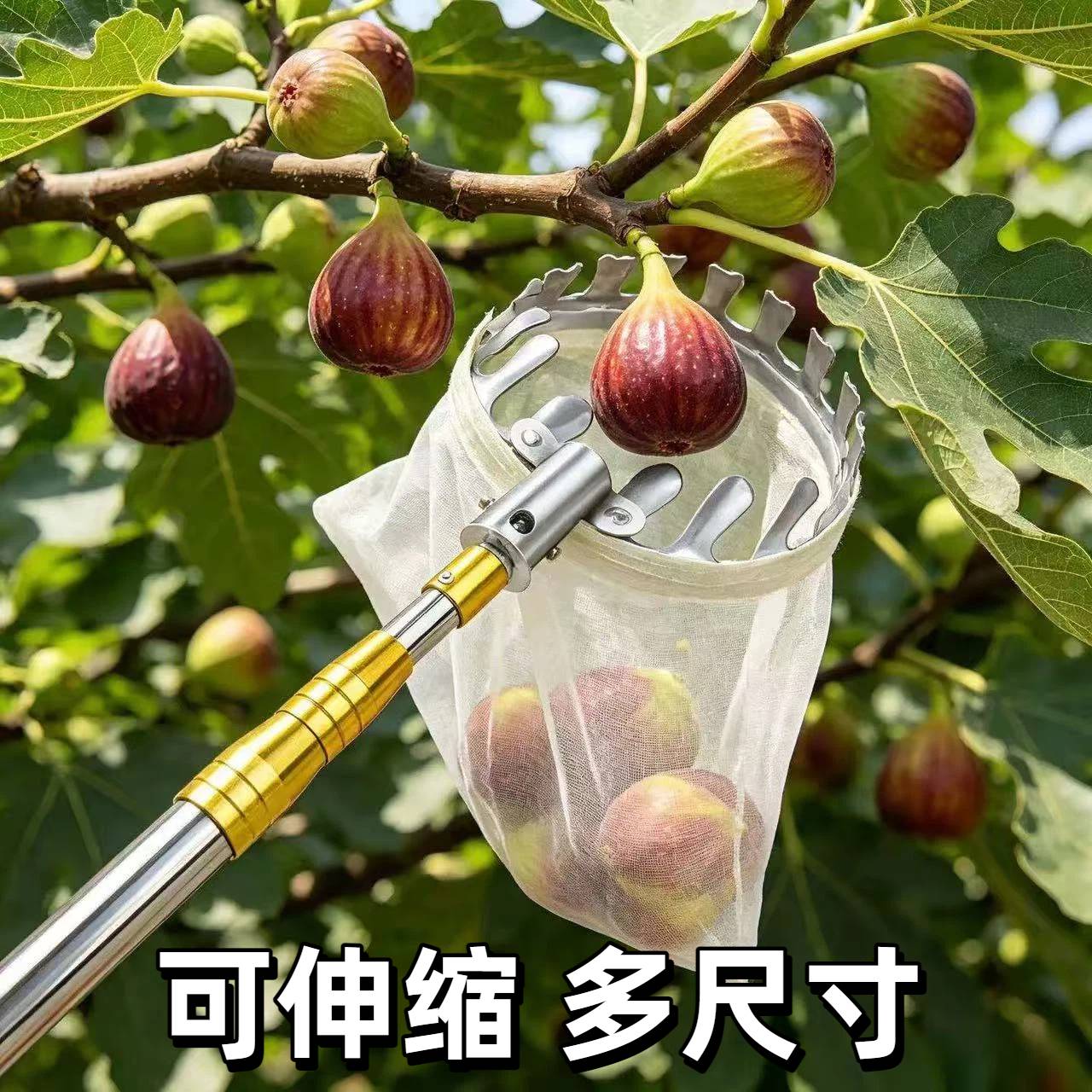 摘无花果专用神器摘水果伸缩杆摘李子柿子枇杷果子高空采摘勾工具