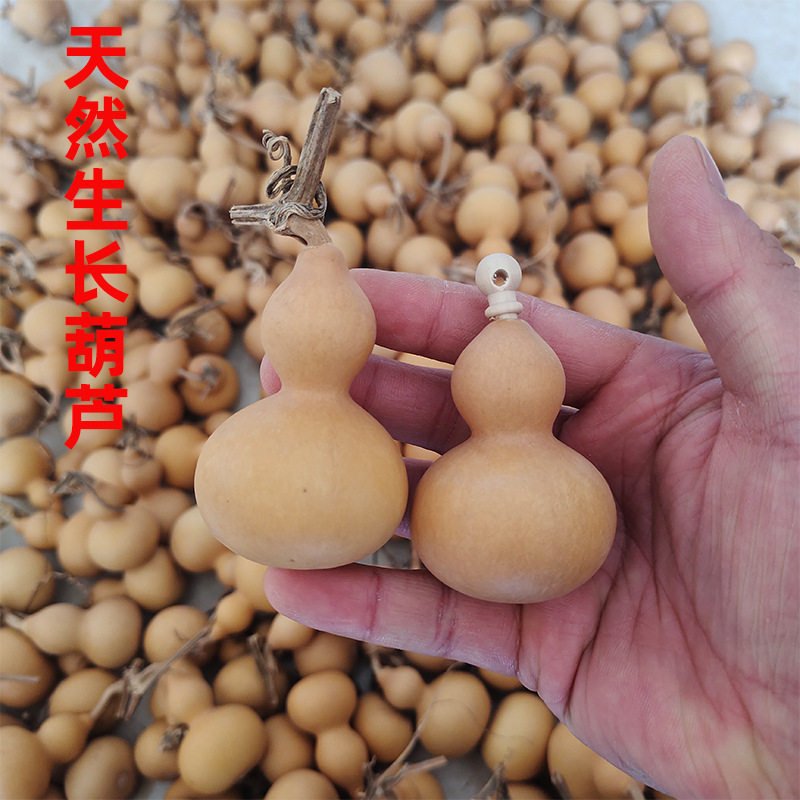 纯天然小葫芦手把玩带龙头木塞葫芦手把件批发不开口手捻小美葫芦