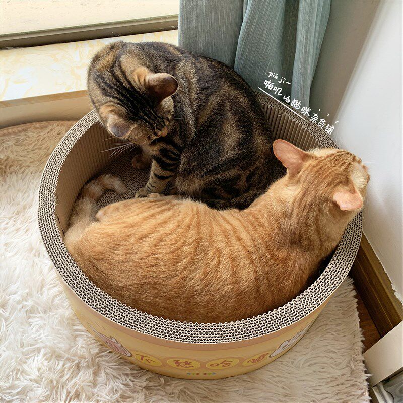 啪叽的猫咪杂货铺蒸笼屉可爱圆形抓板猫盆瓦楞纸大号猫窝耐抓