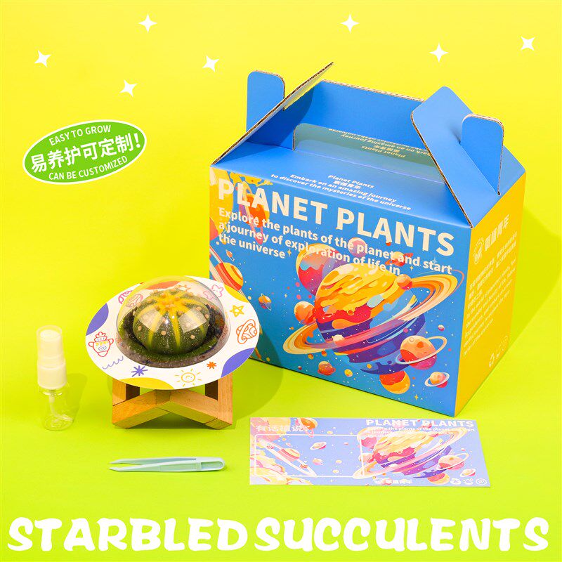 氧植青年星兜仙人球星球多肉植物办公室工位桌面创意盆栽礼盒礼物