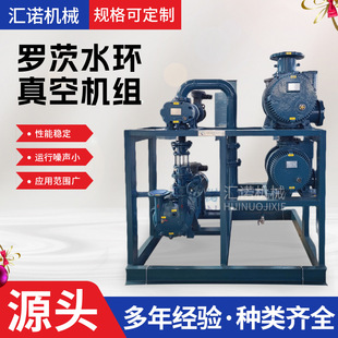 定制JZJ2B水环罗茨真空泵机组JZJS罗茨泵水环式罗茨水环真空机组