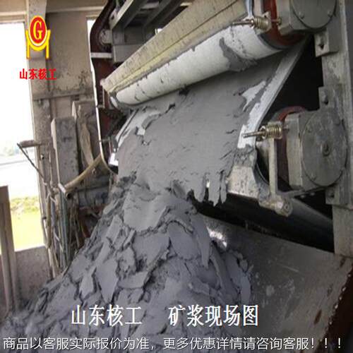 市政污 SHN屠宰污泥 来厂污泥水泥污水处理设备 污泥自泥浆脱水设