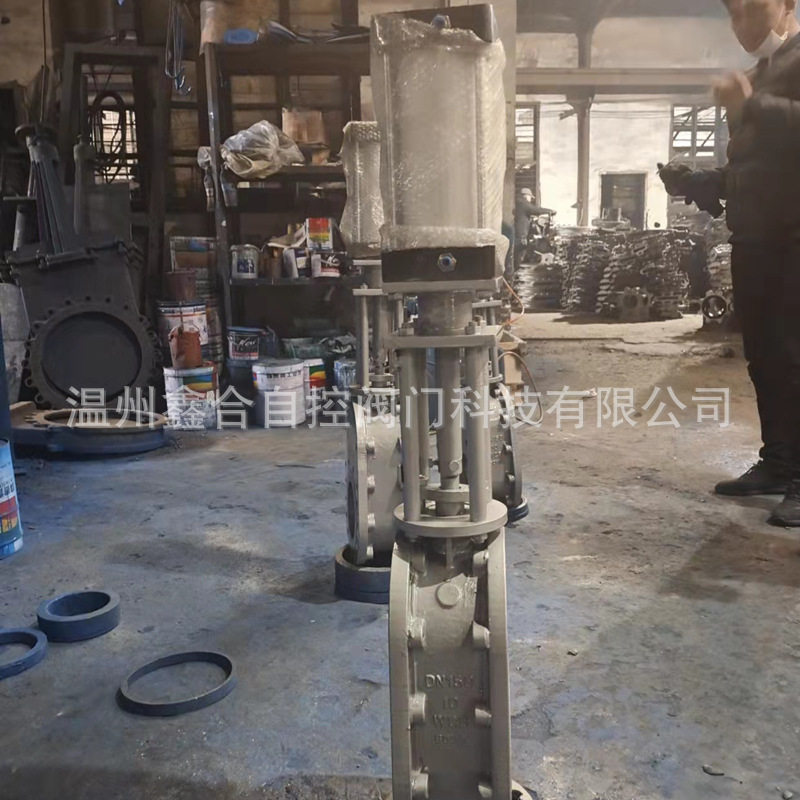 厂家直销气动金属双闸板阀Z67闸阀