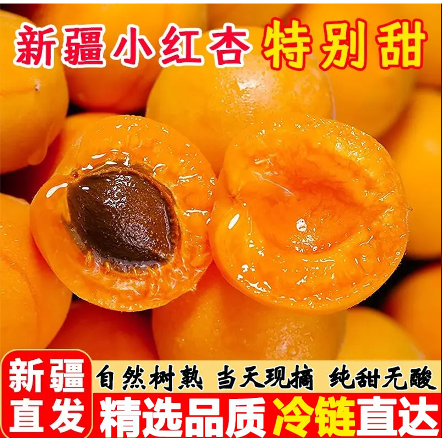 【顺丰空运】新疆轮台小红杏子新鲜孕妇水果软糯纯甜杏2/3/4斤