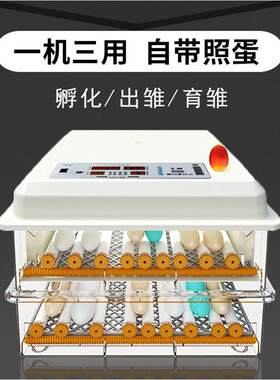 。鸽子孵化器小型家用种蛋鸡鸭鹅繁殖加热器孚化机蛋类破壳照蛋灯