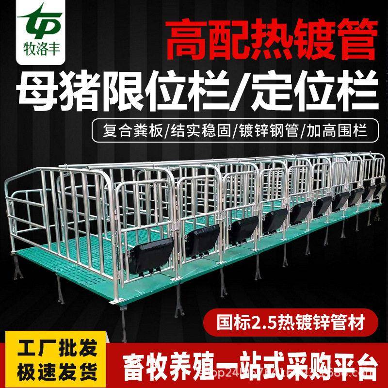 母猪定位栏热镀锌母猪限位栏落育猪用猪圈栏位复合漏粪板