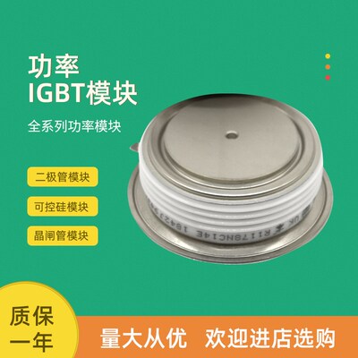 平板可控硅晶闸管T298N10TOF T221N12TOF T221N14TOF T221N16TOF