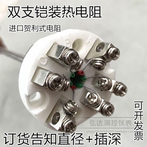 PK2-010 双支铠装热电阻芯 p1F00铂电阻传感器 装配式热电阻芯