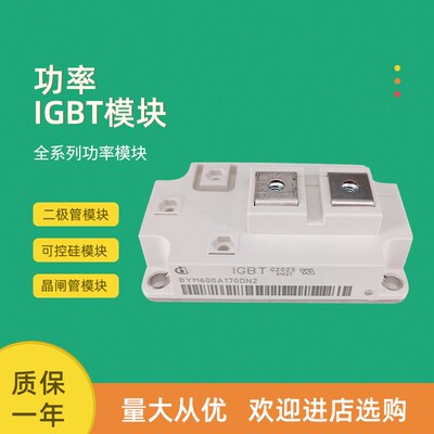 BYM300B170DN2 BYM300A170DN2 BYM400A170DN2全新功率IGBT模块