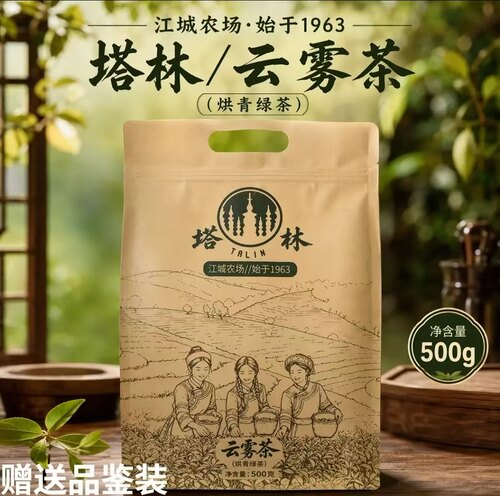 塔林云南普洱茶绿茶原产地厂家直销茶叶云雾茶（烘青绿茶）500g