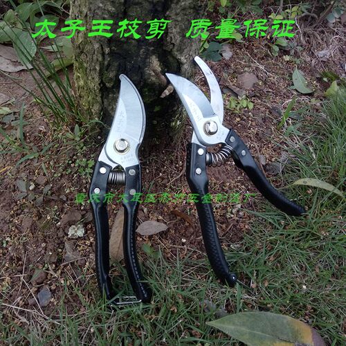 太子王枝剪枝园林剪花剪园林工具剪刀铁柄剪N修花剪树枝剪SK-5