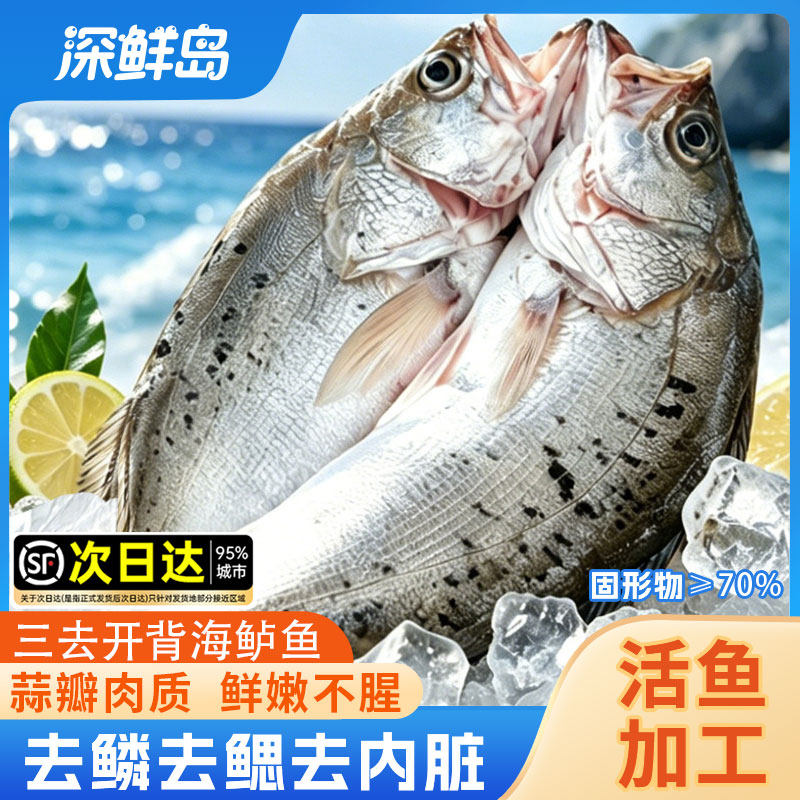 开背海鲈鱼新鲜冷冻青岛七星鲈鱼海鱼卢鱼水产烤鱼半成品烧烤商用