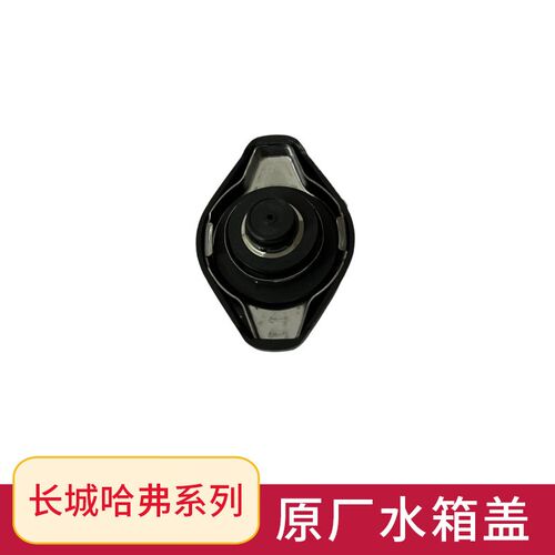 适用长城炮哈弗h1h2h4全新h6酷派h7h8h9M6HK2sF5M6PLUS水箱盖原厂