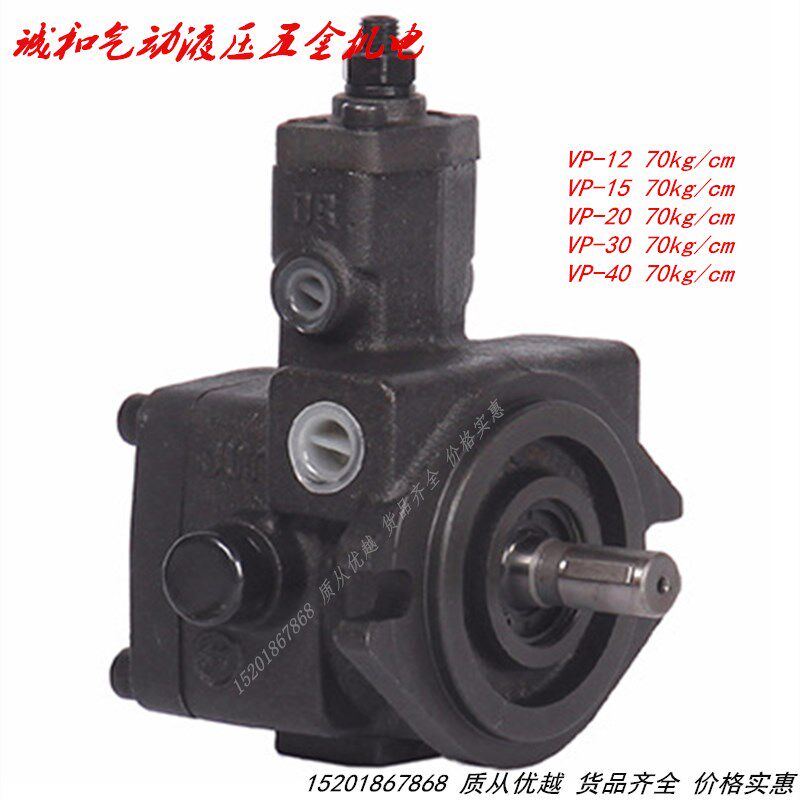 VP-20 VP-15 VP-12限压式变量叶片电动油泵自带溢流阀压力可调节