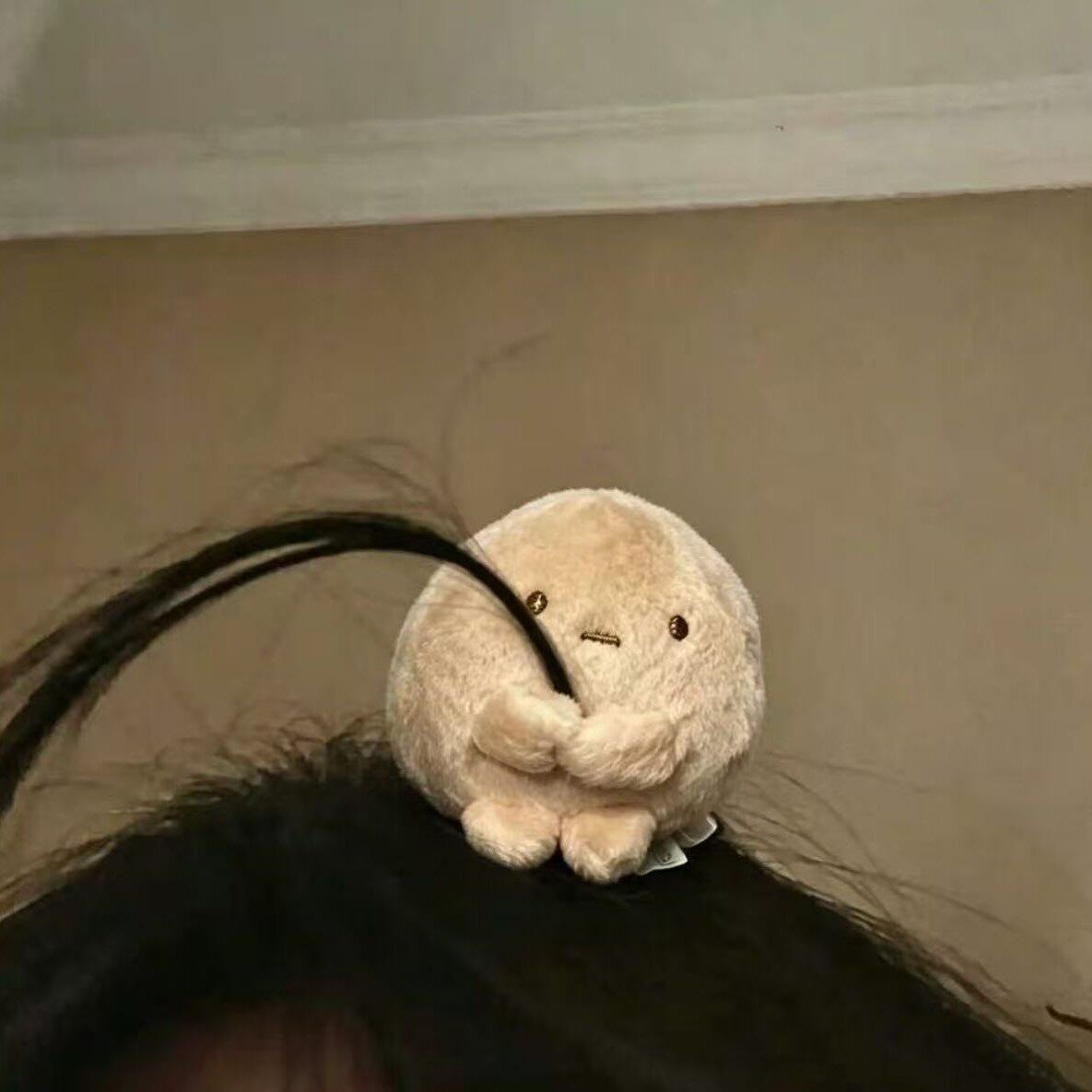 【下单立减50】角落生物小圆子毛绒可爱迷你团子公仔少女心发夹wf