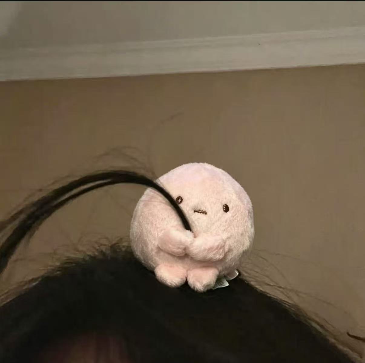 【下单立减50】角落生物小圆子毛绒可爱迷你团子公仔少女心_WH